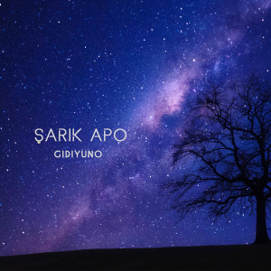 Listen to Zilan song with lyrics from Şarik Apo