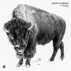 Listen to Winter in America song with lyrics from Johannes Brecht