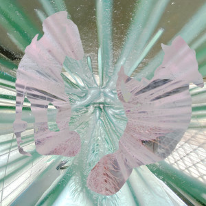 Listen to 5sec (feat. ZIN) song with lyrics from Nezumi Coo