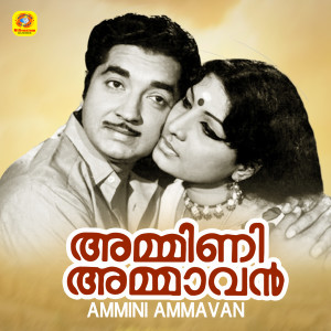 收听K J Yesudas的Kannam Pothiyilelele Kattu Kurinjiyilelele歌词歌曲