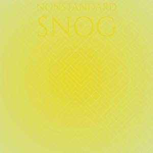 Various Artists的專輯Nonstandard Snog