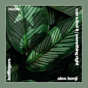Album Can U Feel It | Something Right from Alex Kenji