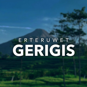 Listen to Gerigis song with lyrics from ERTERUWET