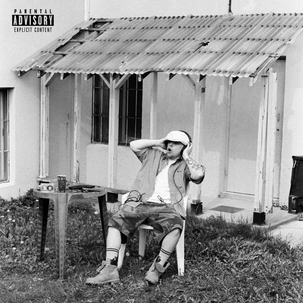Mr. Do it So Well (Explicit)