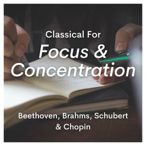 收聽Vilnius Symphony Orchestra的III歌詞歌曲