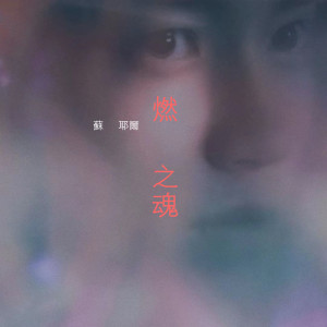 Album 燃之魂 from 苏耶尔