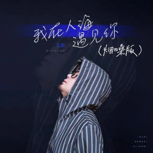 收聽王韻的我在人海遇見你 (煙嗓版)歌詞歌曲