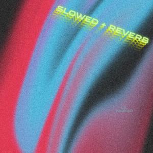 收聽Lil Parkar的Live Fast Die (feat. GG Allin) (SLOWED + REVERB) (Explicit)歌詞歌曲