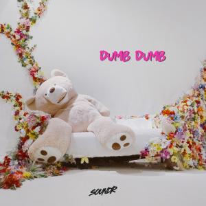Album DUMB DUMB (Explicit) from Soundr