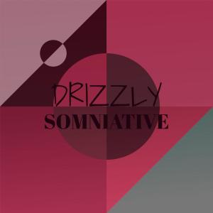 Listen to Mishappen song with lyrics from Bonie Winkie