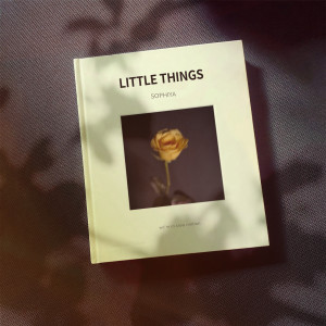 ดาวน์โหลดและฟังเพลง Little Things พร้อมเนื้อเพลงจาก Sophiya