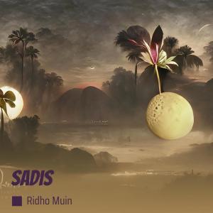 收聽Ridho Muin的Sadis歌詞歌曲