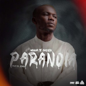 收聽Miggs de Bruijn的Paranoia (Explicit)歌詞歌曲
