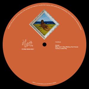 Actual的專輯Why Can't I Stop Making Tech House / Tommy Coded Psy