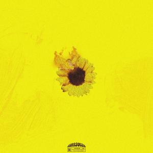 ดาวน์โหลดและฟังเพลง Girasoles พร้อมเนื้อเพลงจาก Tropik