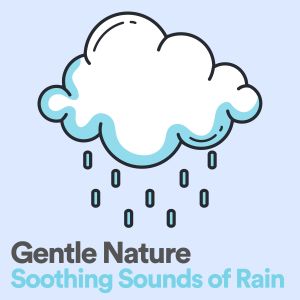 Gentle Nature Soothing Sounds of Rain