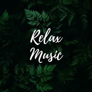Dengarkan lagu Healing Inner anger and Sorrow Removal, Ultra Relaxing Music for Stress nyanyian Peaceful Relaxation dengan lirik