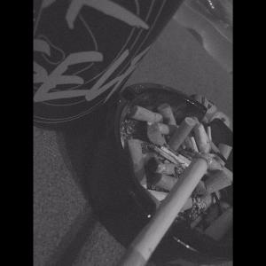 Album Nikdy (Explicit) from 