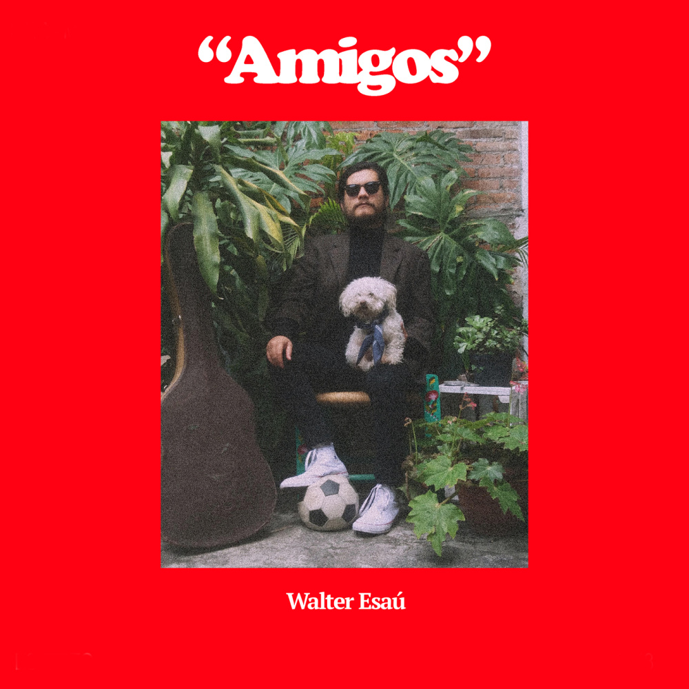 Amigos