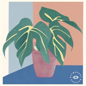 Album Terracotta from Noe Mina