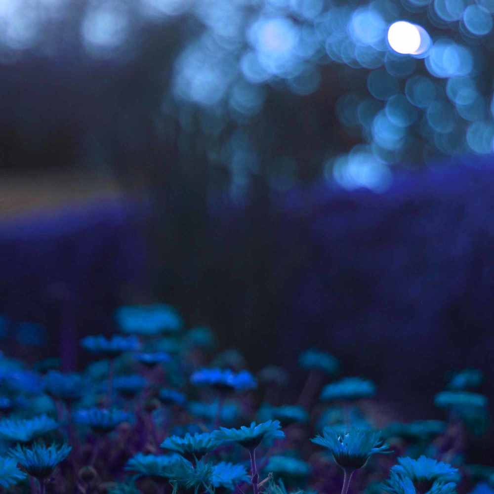 Tremendous Moods for Mystical Life