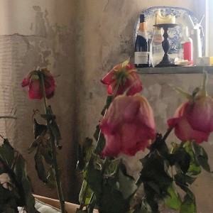 Listen to bad4me (Explicit) song with lyrics from Rien