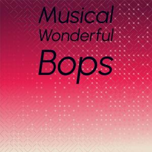 Various的专辑Musical Wonderful Bops