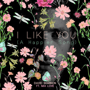 David Shannon的專輯I Like You (A Happier Song)