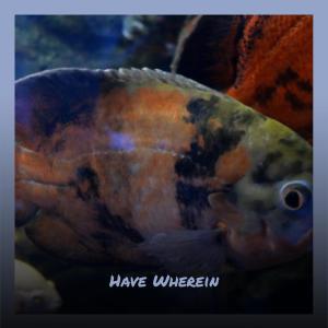 Listen to Venice Hippo song with lyrics from Salvator Kalbo
