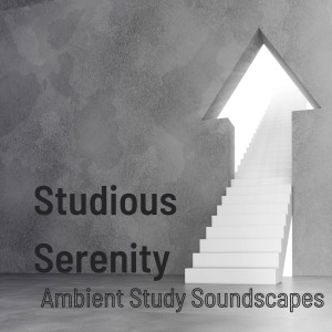 Studious Serenity: Ambient Study Soundscapes