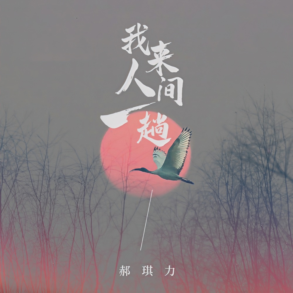 我来人间一趟 (伴奏)