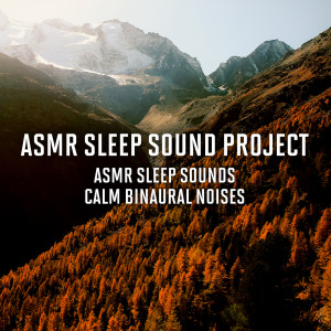 ดาวน์โหลดและฟังเพลง Deep Sleep Sounds ASMR พร้อมเนื้อเพลงจาก ASMR Sleep Sound Project