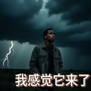 Album 我感觉它来了 from Drechsler