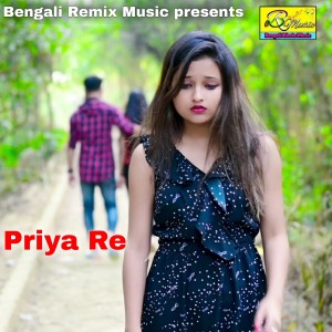 Listen to Priya Re song with lyrics from Bibek Sarkar