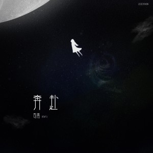 Album 奔赴 from 司南