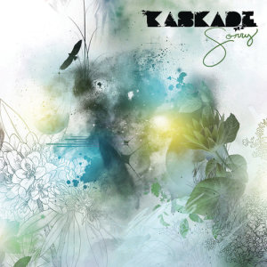 ดาวน์โหลดและฟังเพลง Sorry (Vuetone Mix) พร้อมเนื้อเพลงจาก Kaskade