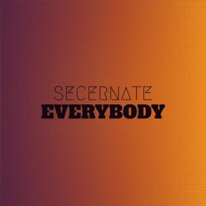 Album Secernate Everybody oleh Various