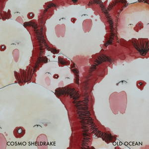 Album Old Ocean from Cosmo Sheldrake