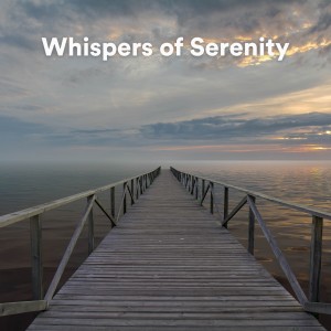 Piano Sleep的專輯Whispers of Serenity (A Collection of Relaxing Piano Masterpieces)