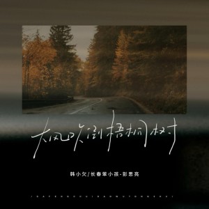 Listen to 大风吹倒梧桐树 song with lyrics from 韩小欠