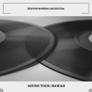 ดาวน์โหลดและฟังเพลง Aloha พร้อมเนื้อเพลงจาก Kenyon Hopkins Orchestra
