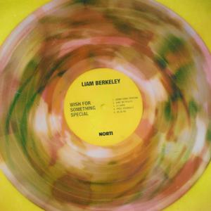 Liam Berkeley的專輯Wish For Something Special