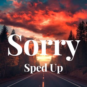 收听Jutin Biber的Sorry - Sped Up歌词歌曲