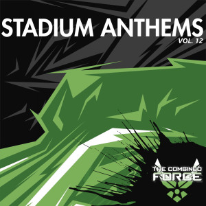 Various Artists的專輯Stadium Anthems Vol.12