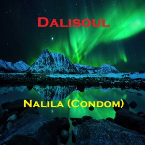 Listen to Nalila (Condom) song with lyrics from Dalisoul