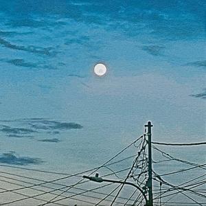 收听The Anggun Sunshine的Bis Kota歌词歌曲