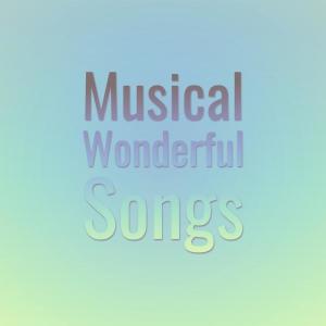 Album Musical Wonderful Songs from Various