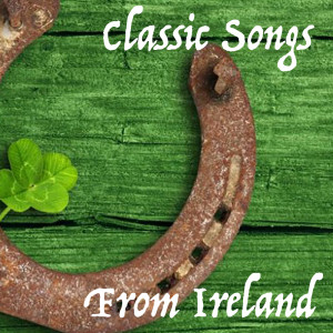 收听The Irish Wanderers的Irish Washerwoman (Jig)歌词歌曲