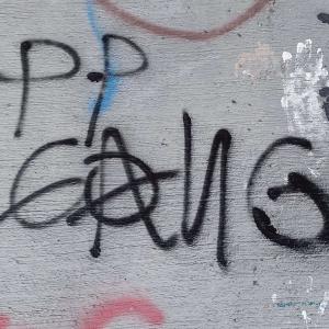 ดาวน์โหลดและฟังเพลง I Pay my Taxes and am a Law Abiding Citizen (Explicit) พร้อมเนื้อเพลงจาก PP Gang