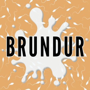 Album Brundur from Bergmál